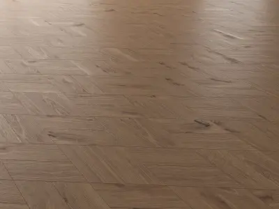  Parquet Oak Vergne Wild Wood set 5 3D model