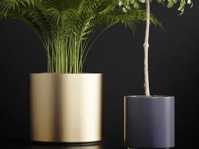 plants set 152 3D model