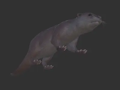 Otter Low-poly 3D model