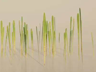 Realistic Grass Pack For Games Free low-poly 3D model