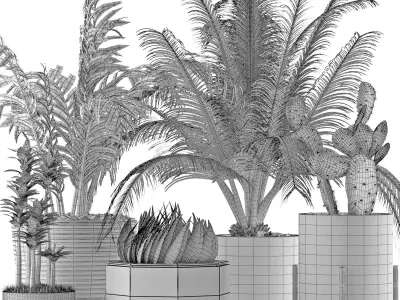 Plants Collection 20 3D model
