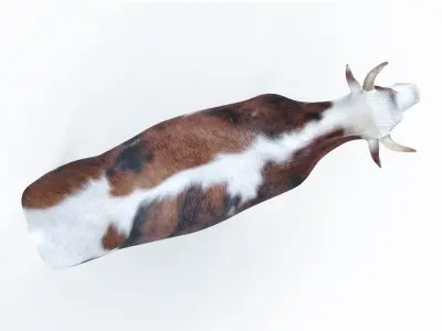 Cow kine Low-poly 3D model