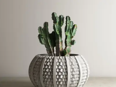 pot collection a14 5 pots