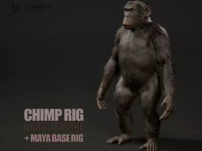 Chimp Rig UNREAL project  Maya base rig 3D model
