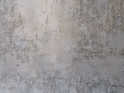 stucco 739 Texture