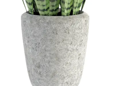 Plant in Pot Flowerpot Exotic Plant 3D model