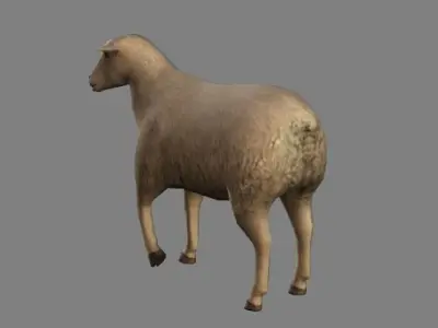 Sheep Animations- LowPoly- Game Ready Low-poly 3D model