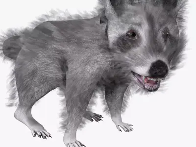 3D model Raccoon Animated Low-poly 3D model