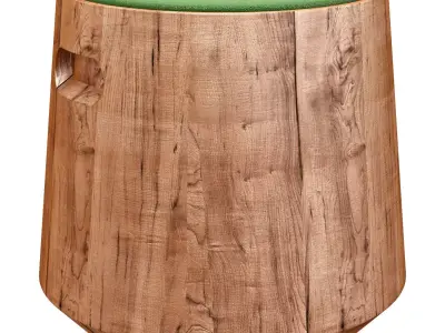 Turn Stool 3D model