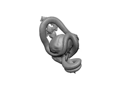 skull bones snake 3D print model
