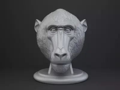 Baboon Bust - Animal Figurine 3D print model