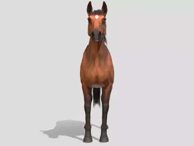 Horse realistic Low-poly 3D model