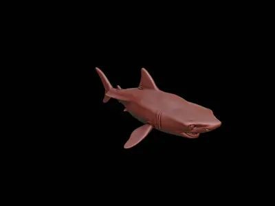 Shark Animal Sculpture 3D print model purchase