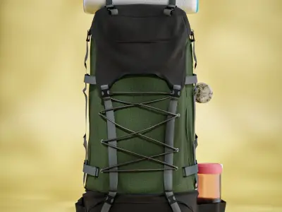 Travel Backpack 3D model