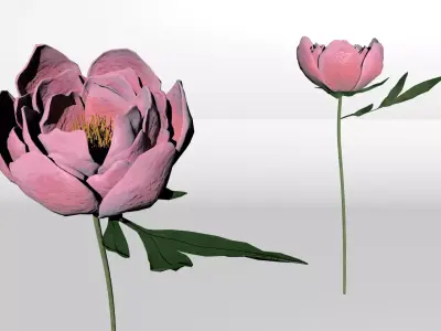 Peony 3D model