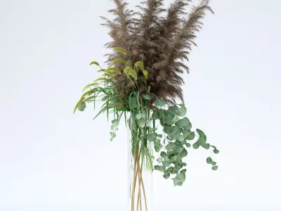 Pennisetum and Pampas grass with Eucalyptus 3D model