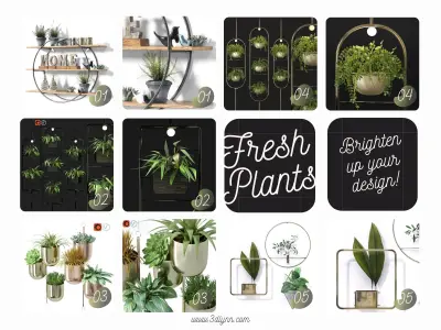 Top Hanging Plant Pots Collection 3D model