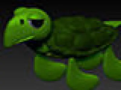 tortoise turtle 3D model