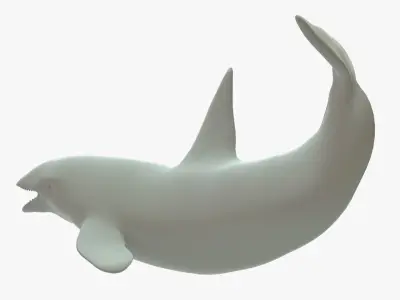 Killer Whale Rigged Basemesh Low-poly 3D model