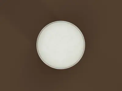 Drink Glass - Beer on Highball Glass 3D model