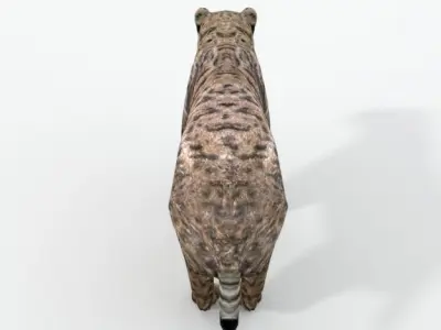 Saber-toothed Tiger Low-poly 3D model