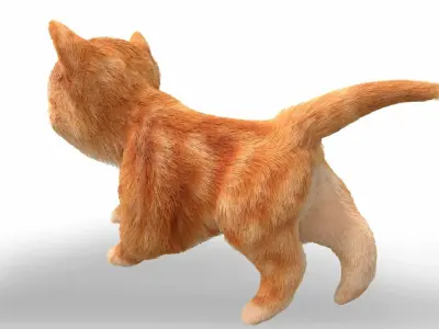 Fur Cute Cat kitten yellow animated Low-poly 3D model