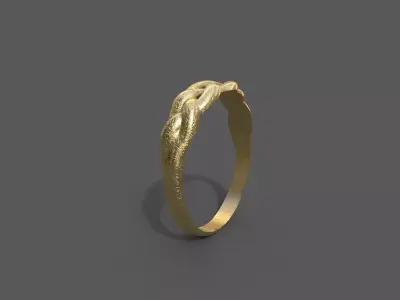 High-Quality 3D Ring Model Low-poly 3D model 12