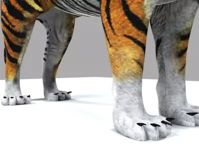 Tiger Rigging and Skinning with Blend Shapes 3D model