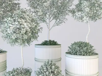 Barrel with trees 3D model