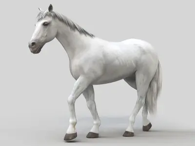 Horse PRO - White 3D model