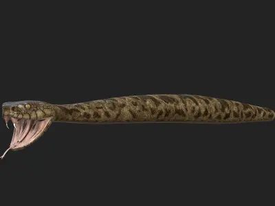 Rattlesnake snake Low-poly 3D model