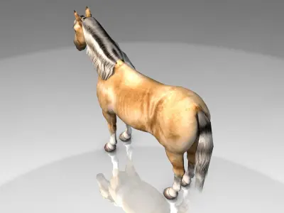 Palomino Horse Low-poly 3D model
