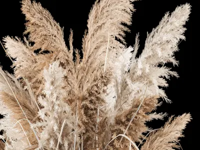 Bouquet Of Dry Reeds In A Black Metal Pot 3D model