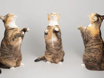 Calico cat 10 Low-poly 3D model