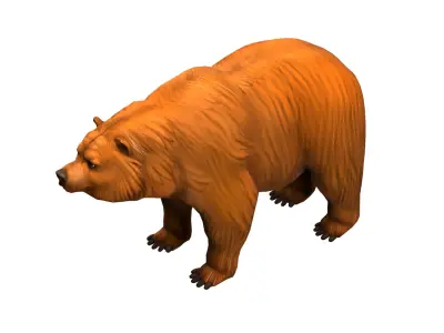 bear  rig  high-poly  textured  3D model