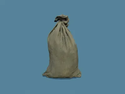 3D Scan Old Bag 02 Free low-poly 3D model