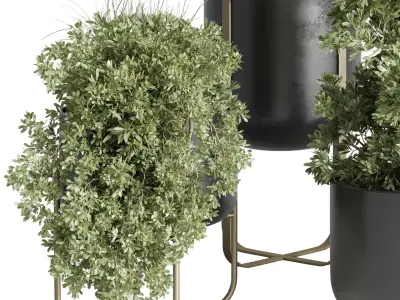 collection indoor plant stand metal vases pot tree bush 3D model