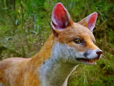 Fox Animal Low-poly 3D model buy