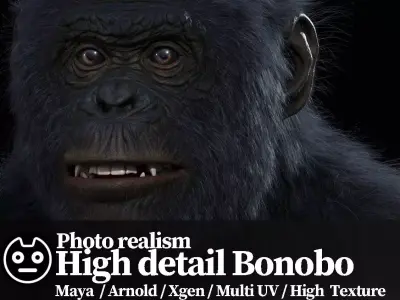 Bonobo High detailed Realistic 3D Model 3D model