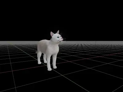 American Shorthair Cat Low-poly 3D model