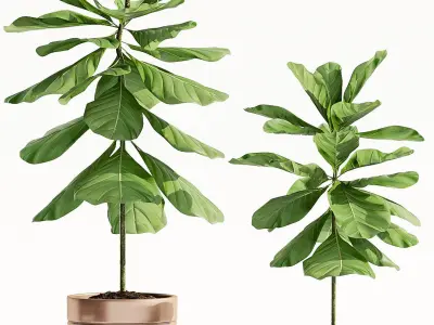 Decorative plant set-59 3D model