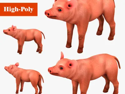 pig rig  high-poly  textured 3D model