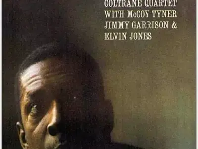 vinyl records  3D model