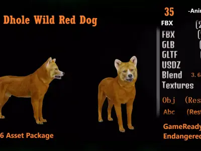 Asian Dhole Wild Red Dog Low-poly 3D model