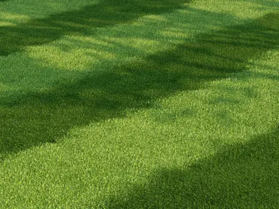 Mowed Lawn 3D model
