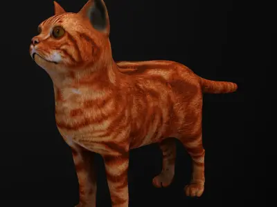 Cat 3D model orange tabby Low-poly 3D model