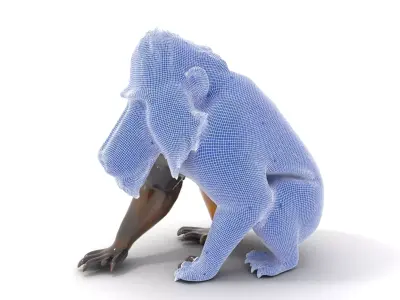 Vibrant Mandrill model pack Low-poly 3D model