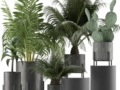 Plants Collection 28 3D model