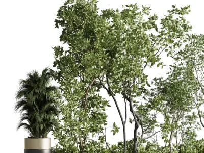 Indoor plant set 323 - office bench Low-poly 3D model