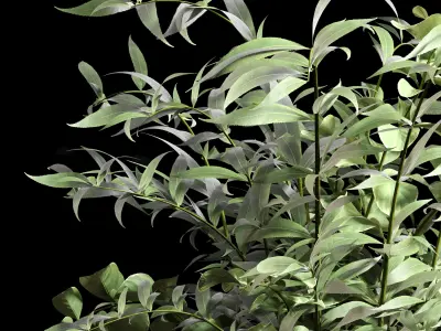 bouquet 05 vase glass 3D model